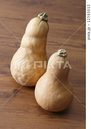 バターナッツカボチャ バターナッツカボチャ 12593015
