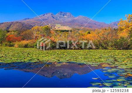 紅葉のいもり池と妙高山の写真素材