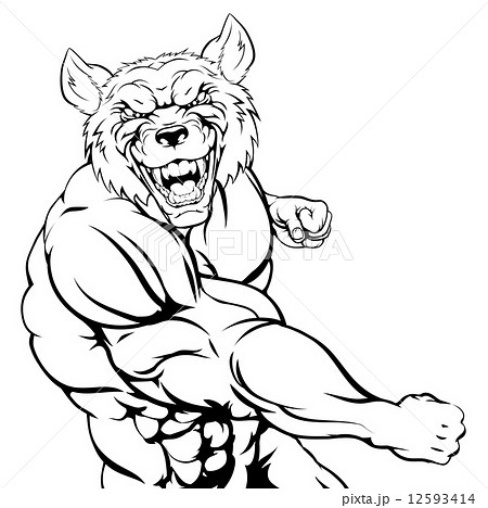 Fighting Wolf Mascot 12593414