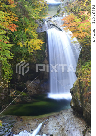 尾白川渓谷 12593493