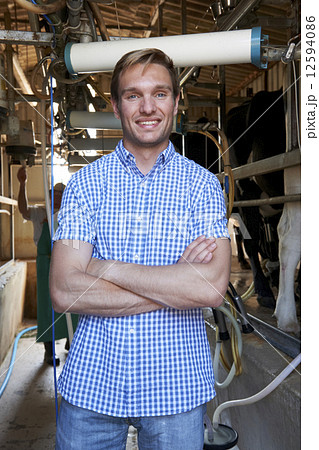 Portrait Of Farmer With Dairy Cattle In Milking Shed Portrait Of Farmer With Dairy Cattle In Milking Shed 12594086