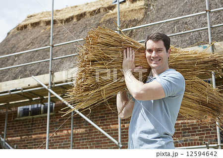 Thatcher Carrying Bundles Of Reeds Working On Roof 12594642