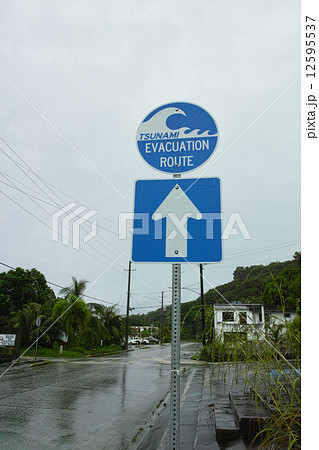 ロタ島・津波避難ルートの標識 ロタ島・津波避難ルートの標識 12595537