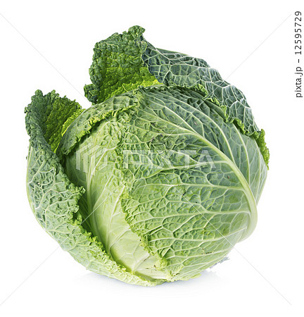 Savoy cabbage isolated on white background 12595729