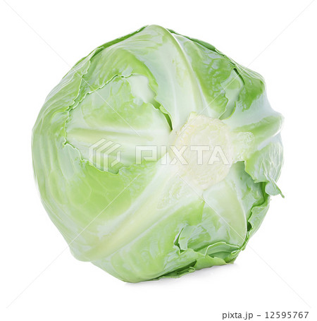 White cabbage isolated on white background 12595767