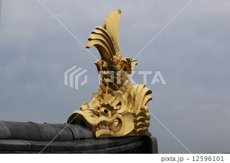 岡山城天守閣の鯱鉾 岡山城天守閣の鯱鉾 12596101