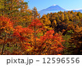 紅葉冨士 12596556