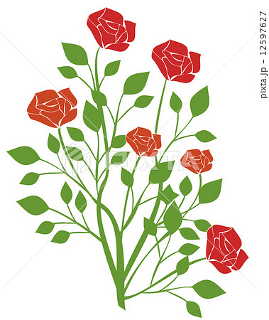 赤いバラのイラスト 透過png のイラスト素材
