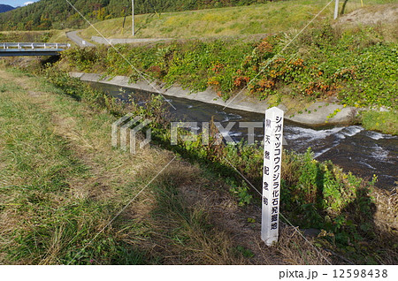 シガマッコウクジラ発掘跡（松本市会田地区） 12598438