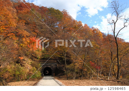 紅葉に彩られたアプトの道 紅葉に彩られたアプトの道 12598465