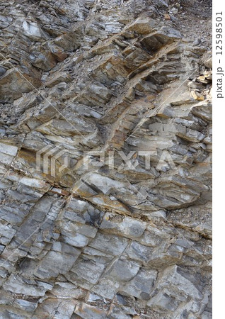 泥岩の地層（長野県松本市会田地区） 12598501