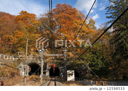 碓氷峠アプトの道、熊ノ平の紅葉 12598533