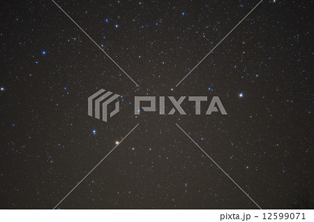 こぐま座と北極星 こぐま座と北極星 12599071