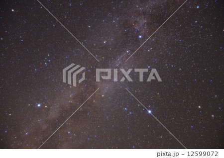 夏の大三角 12599072