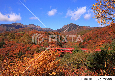 八ヶ岳紅葉 八ヶ岳紅葉 12599566