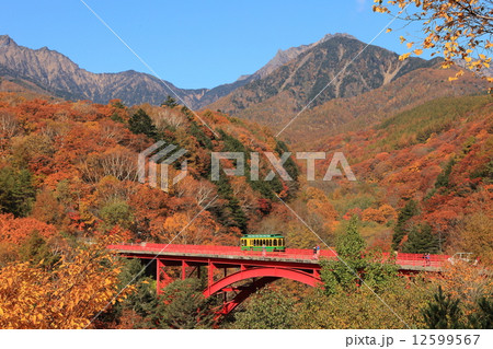 八ヶ岳紅葉 八ヶ岳紅葉 12599567