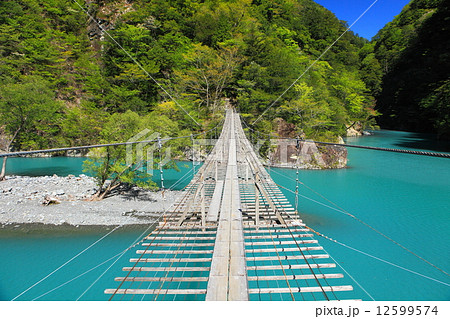 寸又峡夢の吊り橋 寸又峡夢の吊り橋 12599574