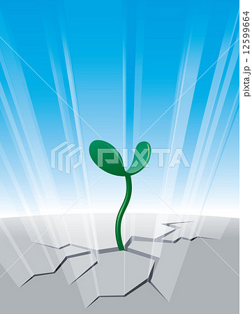 Sprout Sprout 12599664