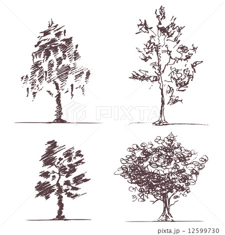 Set of four sketches trees 12599730