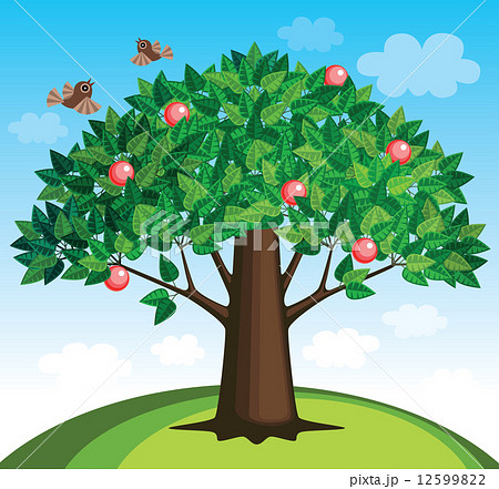 Apple Treeのイラスト素材 12599822 Pixta