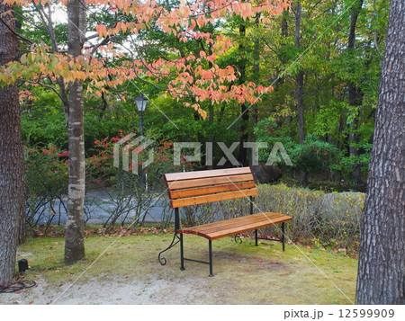 秋の気配 秋の気配 12599909