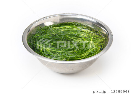 おかひじき 12599943