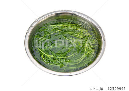 おかひじき 12599945