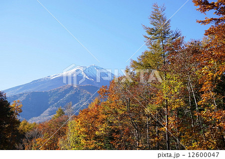 10月風景・富士山586富士スバルラインからの紅葉 12600047