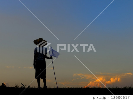 夏の終わり 12600617