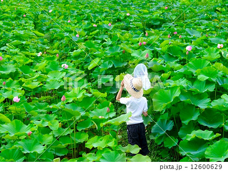 眺める 眺める 12600629