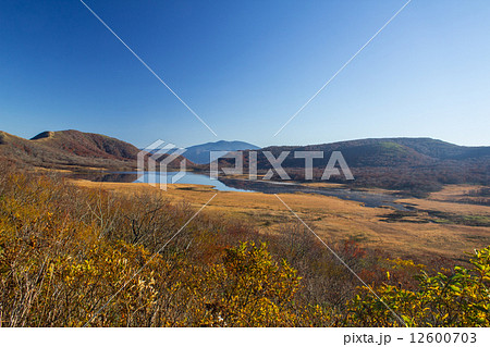 雄国沼晩秋1 雄国沼晩秋1 12600703