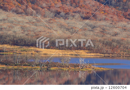 雄国沼晩秋2 雄国沼晩秋2 12600704
