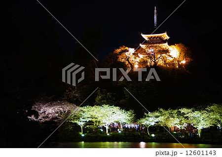 三渓園 夜桜 外苑 ・ 大池 ・ 旧燈明寺三重塔 (重要文化財) 神奈川県 横浜市 中区 本牧 三渓園 夜桜 外苑 ・ 大池 ・ 旧燈明寺三重塔 (重要文化財) 神奈川県 横浜市 中区 本牧 12601143
