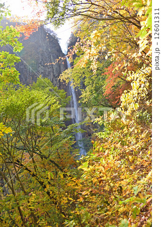 2014　秋の権現滝 12601311