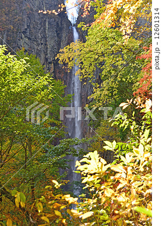 2014 秋の権現滝 2014 秋の権現滝 12601314