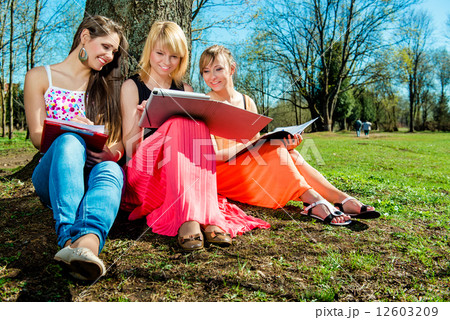 Group of students studying outdoors Group of students studying outdoors 12603209