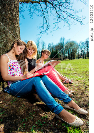 Group of students studying outdoors Group of students studying outdoors 12603210