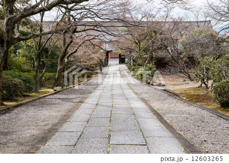養源院 養源院 12603265