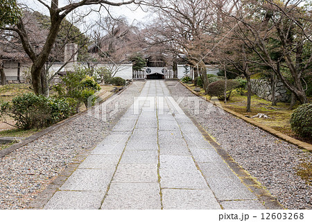 養源院 養源院 12603268