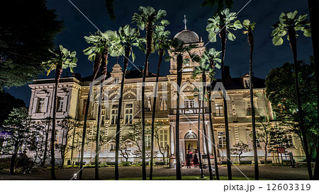 旧岩崎邸庭園ライトアップ 12603319