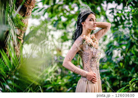 Gorgeous lady in evening dress and with tiara on a head 12603630