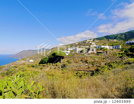 La Palma, Canary Islands 12603889