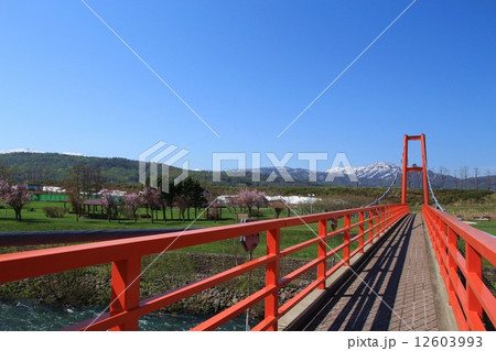 清流橋と暑寒別岳 清流橋と暑寒別岳 12603993