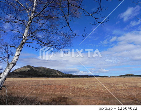 秋の湿原 12604022