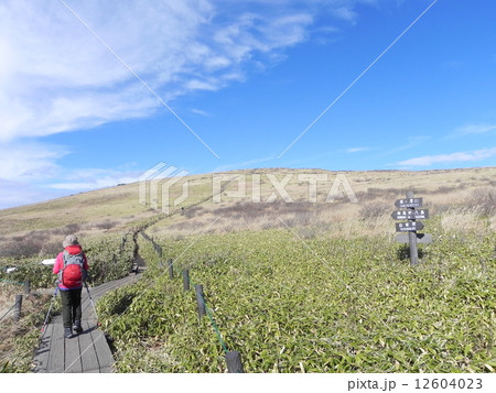 車山湿原 車山湿原 12604023