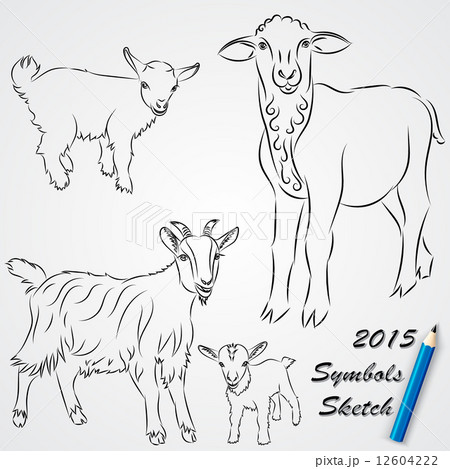 Vector sketch drawing of goats, Chinese 2015 new year symbol 12604222