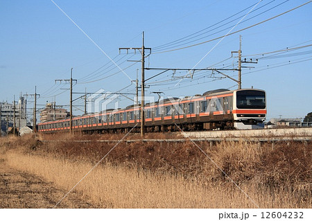 見沼田んぼを行く、武蔵野線209系 12604232
