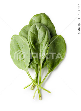 spinach 12604867