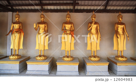 Golden Buddha Statues in Thai temple 12604983