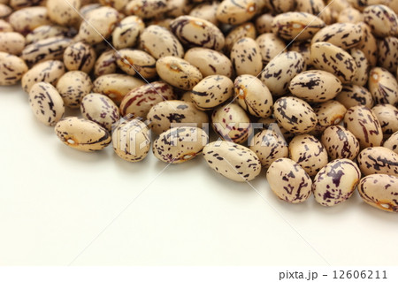 うずら豆 うずら豆 12606211